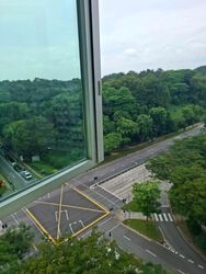 Blk 513C Saraca Breeze @ Yishun (Yishun), HDB 3 Rooms #554529481